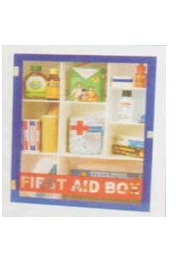 Acrylic Type Firstaid Box With (22 Items) Medicine