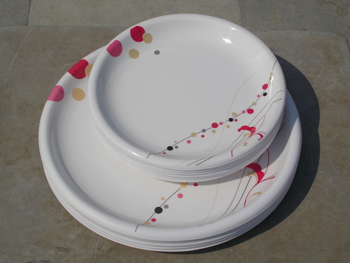 Celebration Dinner Set