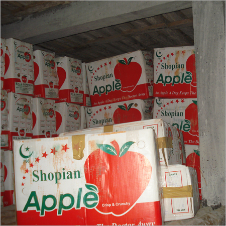 Fruit Cold Storage Chamber
