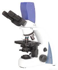 Microscope Binocular
