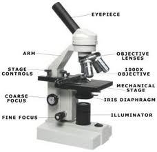 Microscope Compound