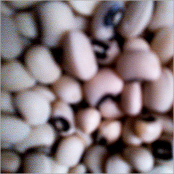 Kidney Beans