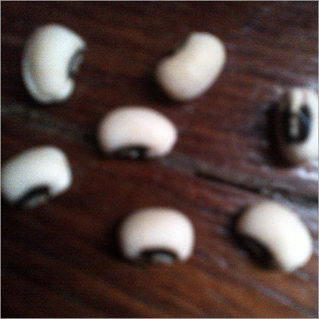 White Kidneys Beans
