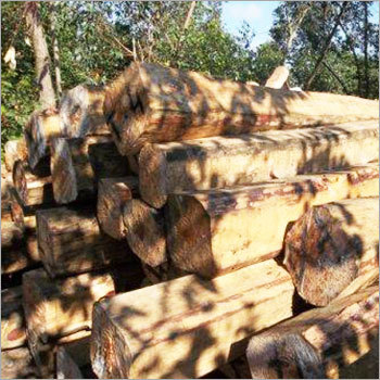 Pine Wood Timber