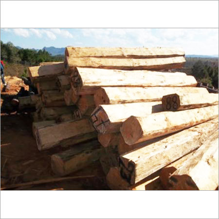Sal Wood Logs