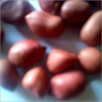 Ground Nut