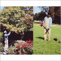 Garden Maintenance