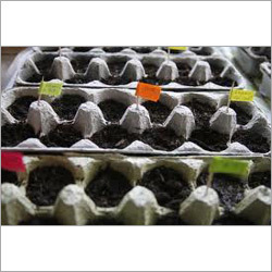 Seedling Tray