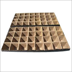 Plastic Seedling Trays