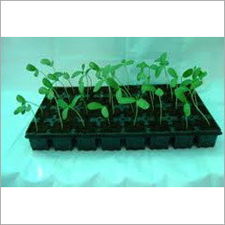 Agriculture Seedling Tray