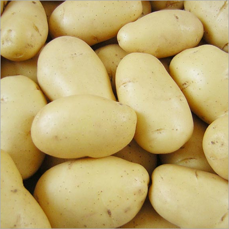 Fresh Potato