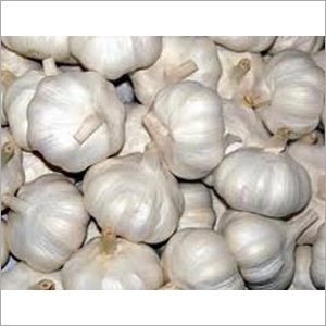 Fresh Garlic