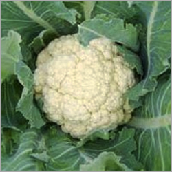 Fresh Cauliflower
