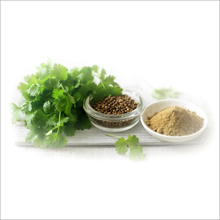 Fresh Coriander
