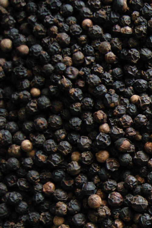 Black Pepper