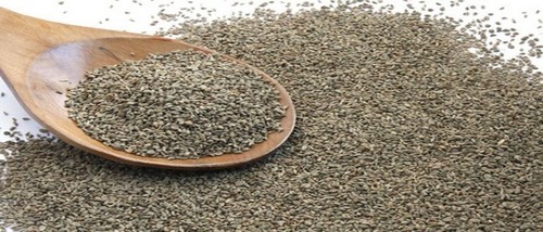 Carom Seed