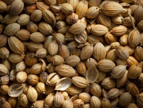 Coriander Seed