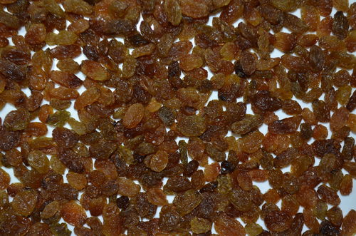 Brown Raisin Zing