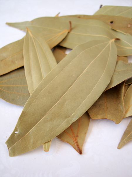 Indian bay leaf
