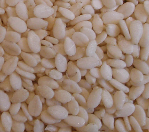 Sesame seed