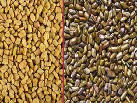 Methi Seed