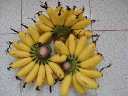 Banana