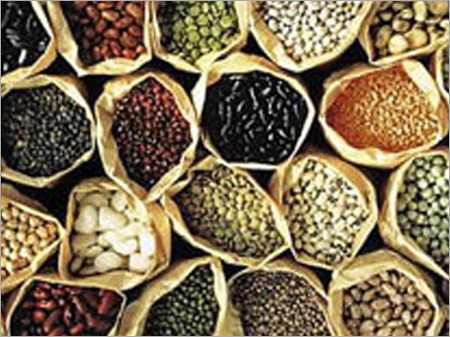 Seeds