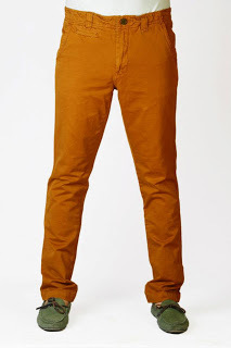 Copper Brown PAnt