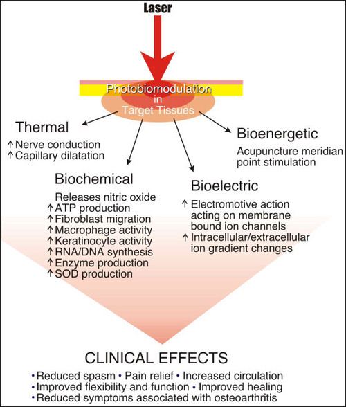 Laser Clinical Effects