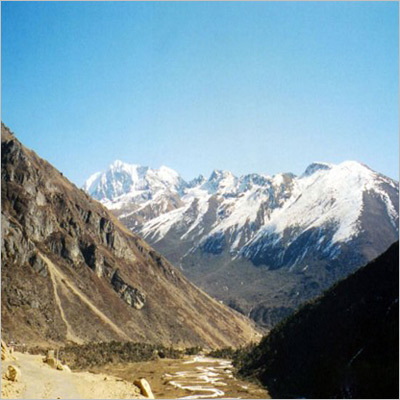 Tour and Travel Service