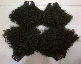 Human Hairs