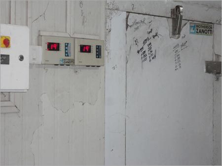 Ice Processing Plants