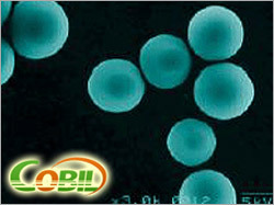 Nylon Powder for Cosmetic and Paint