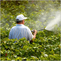 Pesticides
