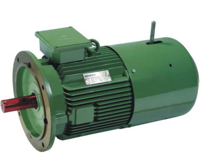 Crane Duty Brake Motors