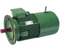 Crane Duty Brake Motors