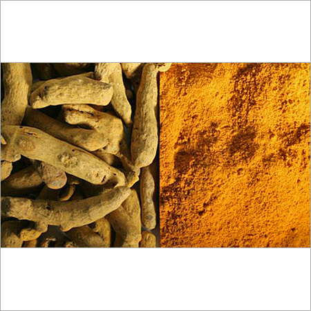 Turmeric Extract