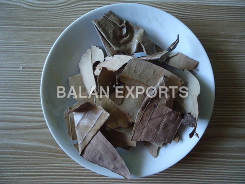 Bay Leaf