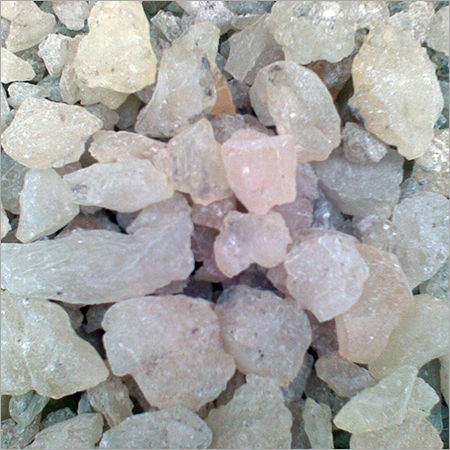 Gum Copal ( Chandras )