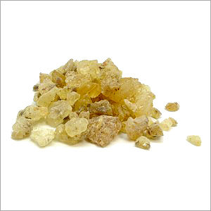 Natural Gum Copal Cas No: -