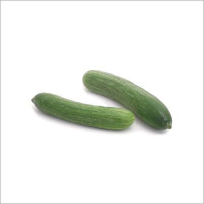 Indian Cucumber