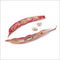 Freshbeans Cranberry