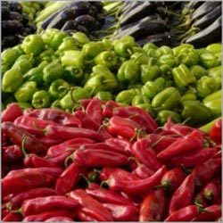 Fresh Vegetables