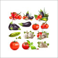 Fresh Vegetables