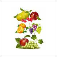 Natural Fresh Fruits