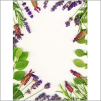 Herbal Products