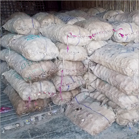 Vegetables Cold Storage Rental