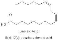 Linoleic Acid - Hair Care Product