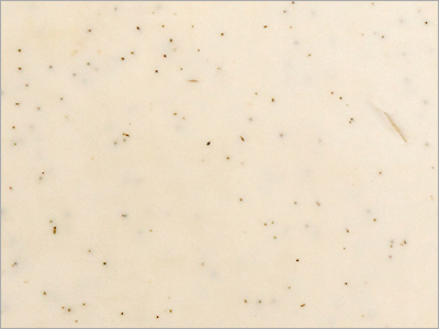 Indo Pista Marble Slab