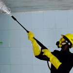Step 6 Anti-Bacterial Spray